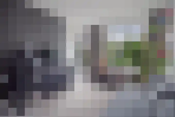 Vlashoek 15 Vught thumbnail 19