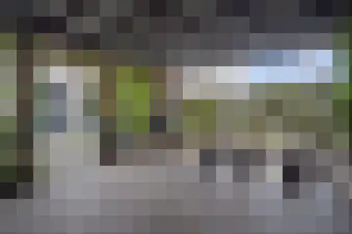 Vlashoek 15 Vught thumbnail 35