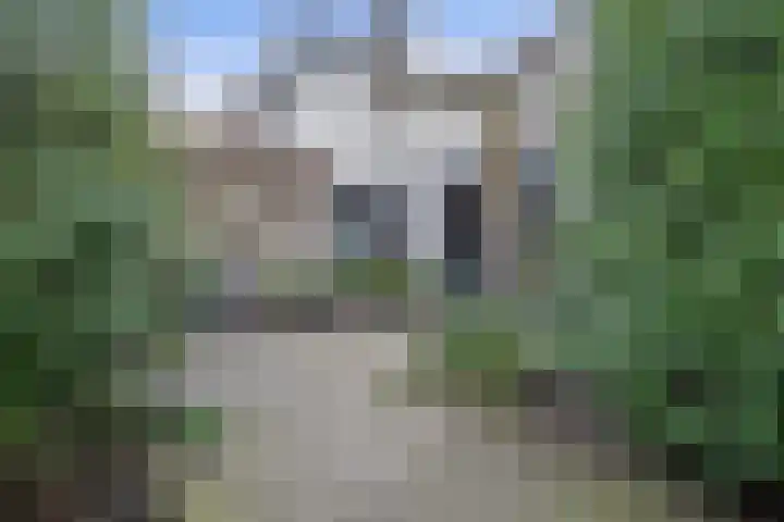 Vlashoek 15 Vught thumbnail 37