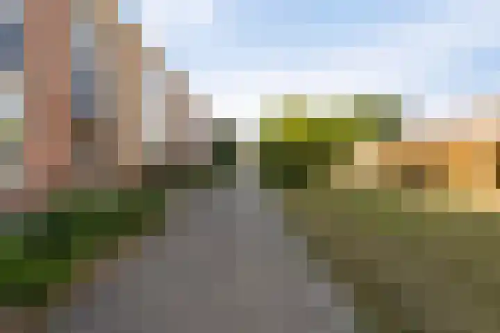 Vlashof 1 Nagele thumbnail 10