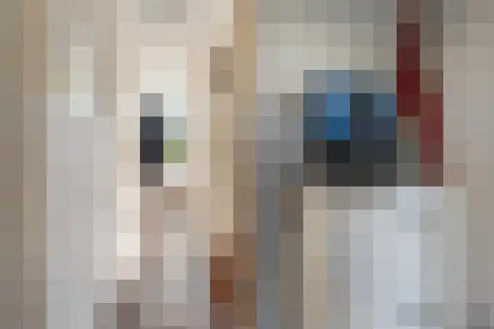 Vlashof 1 Nagele thumbnail 12