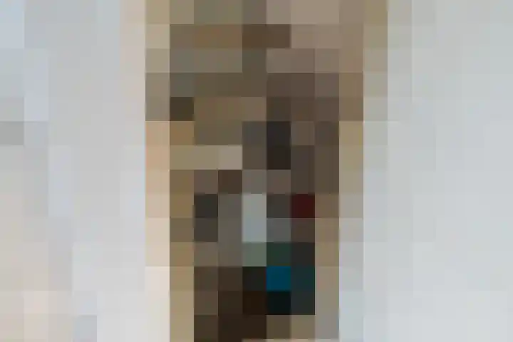Vlashof 1 Nagele thumbnail 14