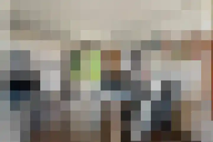Vlashof 1 Nagele thumbnail 16