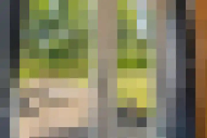 Vlashof 1 Nagele thumbnail 22