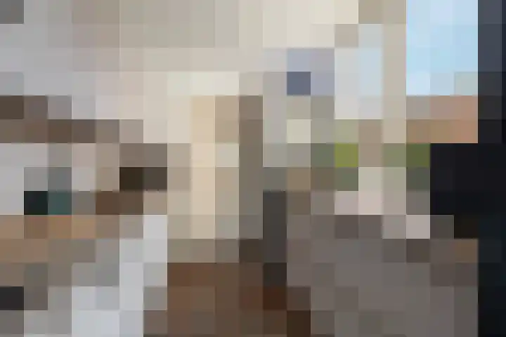 Vlashof 1 Nagele thumbnail 24