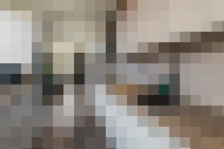 Vlashof 1 Nagele thumbnail 25