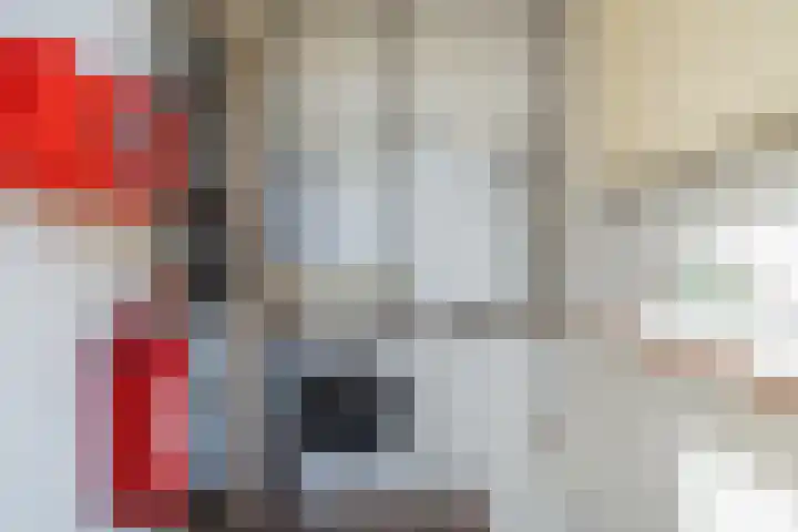 Vlashof 1 Nagele thumbnail 29