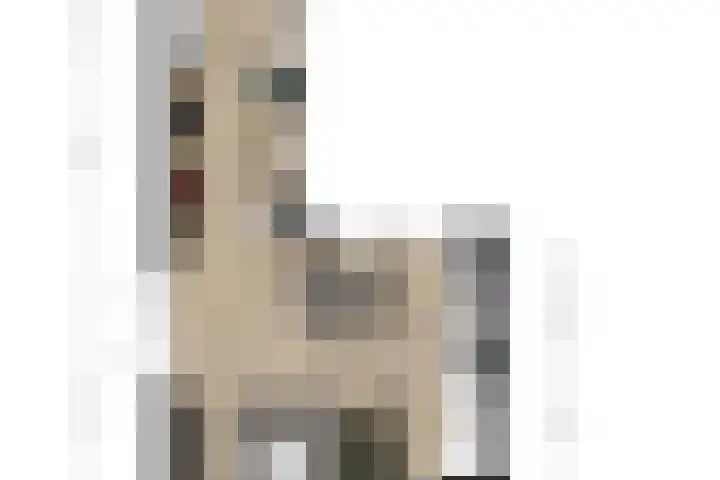 Vlashof 1 Nagele thumbnail 30