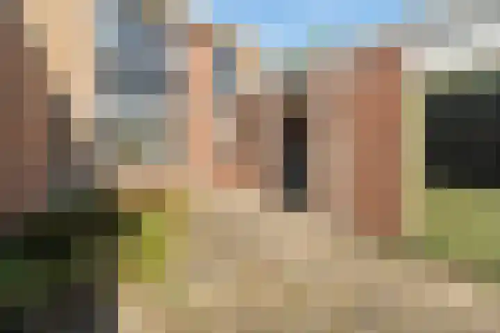 Vlashof 1 Nagele thumbnail 31