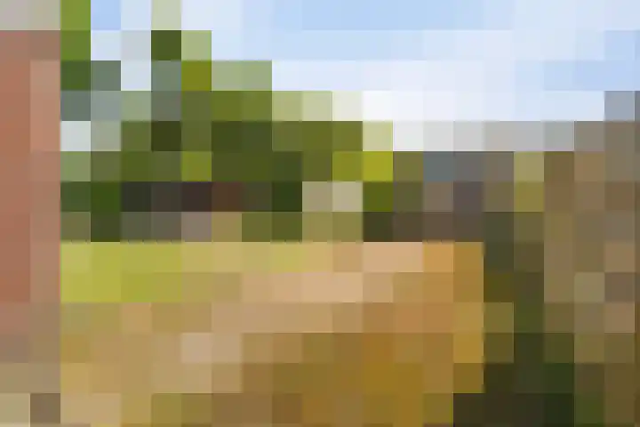 Vlashof 1 Nagele thumbnail 32