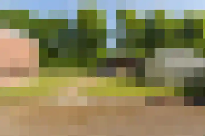 Vlashof 1 Nagele thumbnail 33