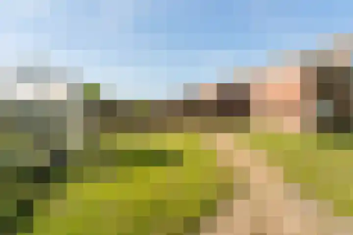 Vlashof 1 Nagele thumbnail 35
