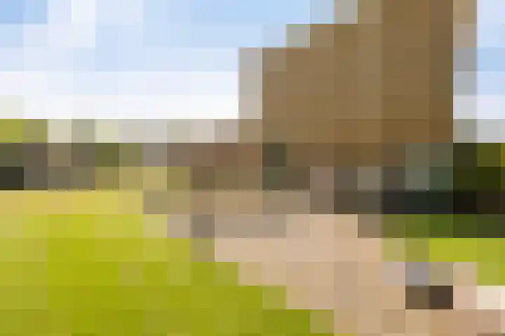 Vlashof 1 Nagele thumbnail 38