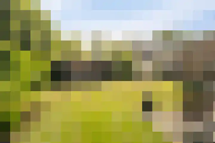 Vlashof 1 Nagele thumbnail 39