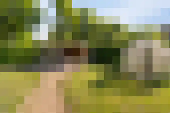 Vlashof 1 Nagele thumbnail 4