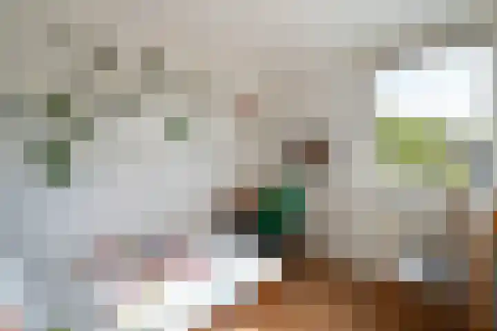 Vlashof 1 Nagele thumbnail 44