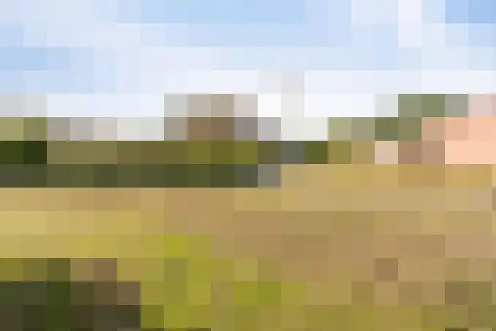 Vlashof 1 Nagele thumbnail 5