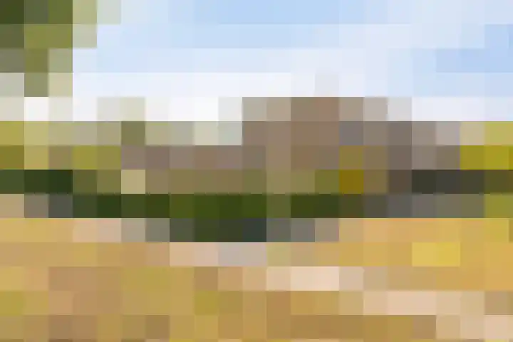 Vlashof 1 Nagele thumbnail 6