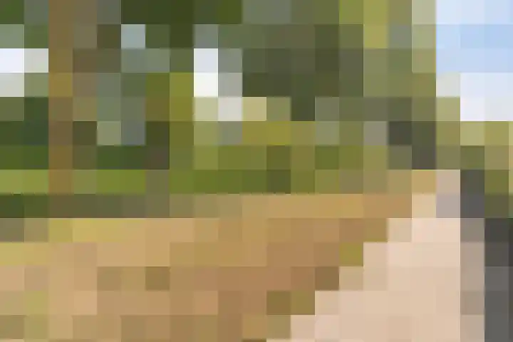 Vlashof 1 Nagele thumbnail 7