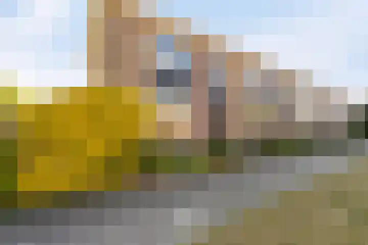 Vlashof 1 Nagele thumbnail 8