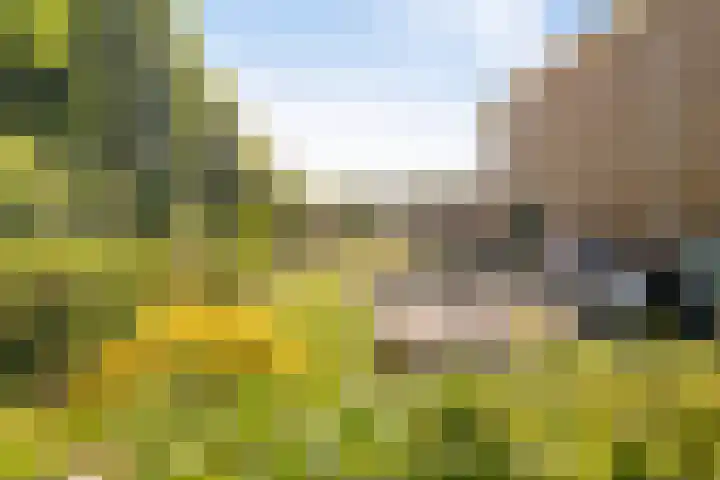 Vlashof 1 Nagele thumbnail 9
