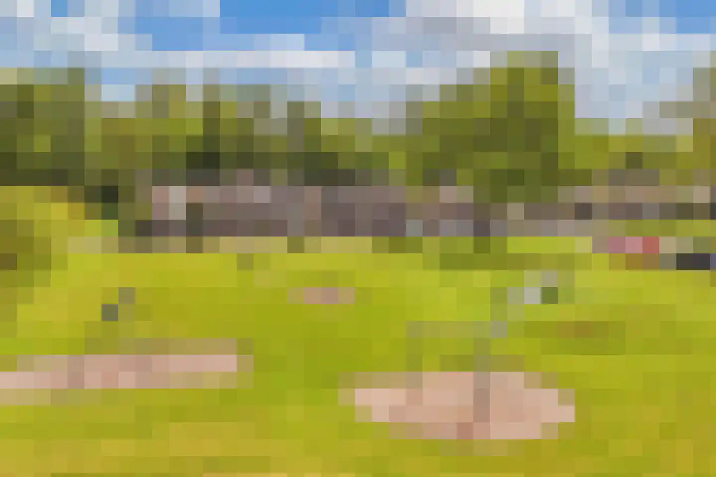 Vlashof 23 Nagele thumbnail 10