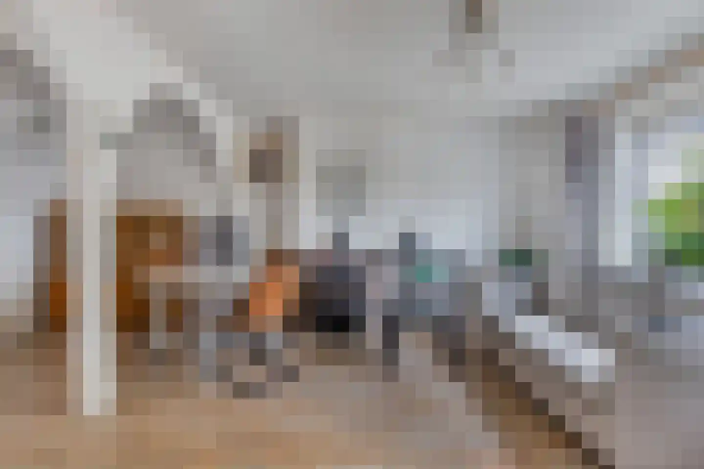 Vlashof 23 Nagele thumbnail 13