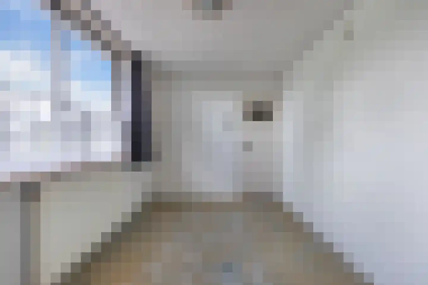 Vlashof 23 Nagele thumbnail 30