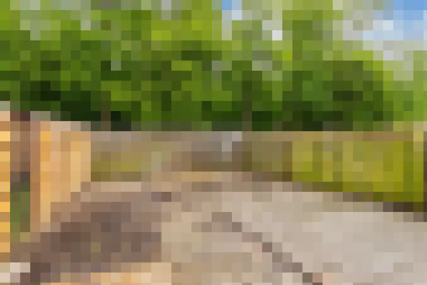 Vlashof 23 Nagele thumbnail 40