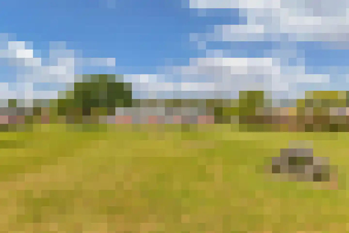 Vlashof 23 Nagele thumbnail 44