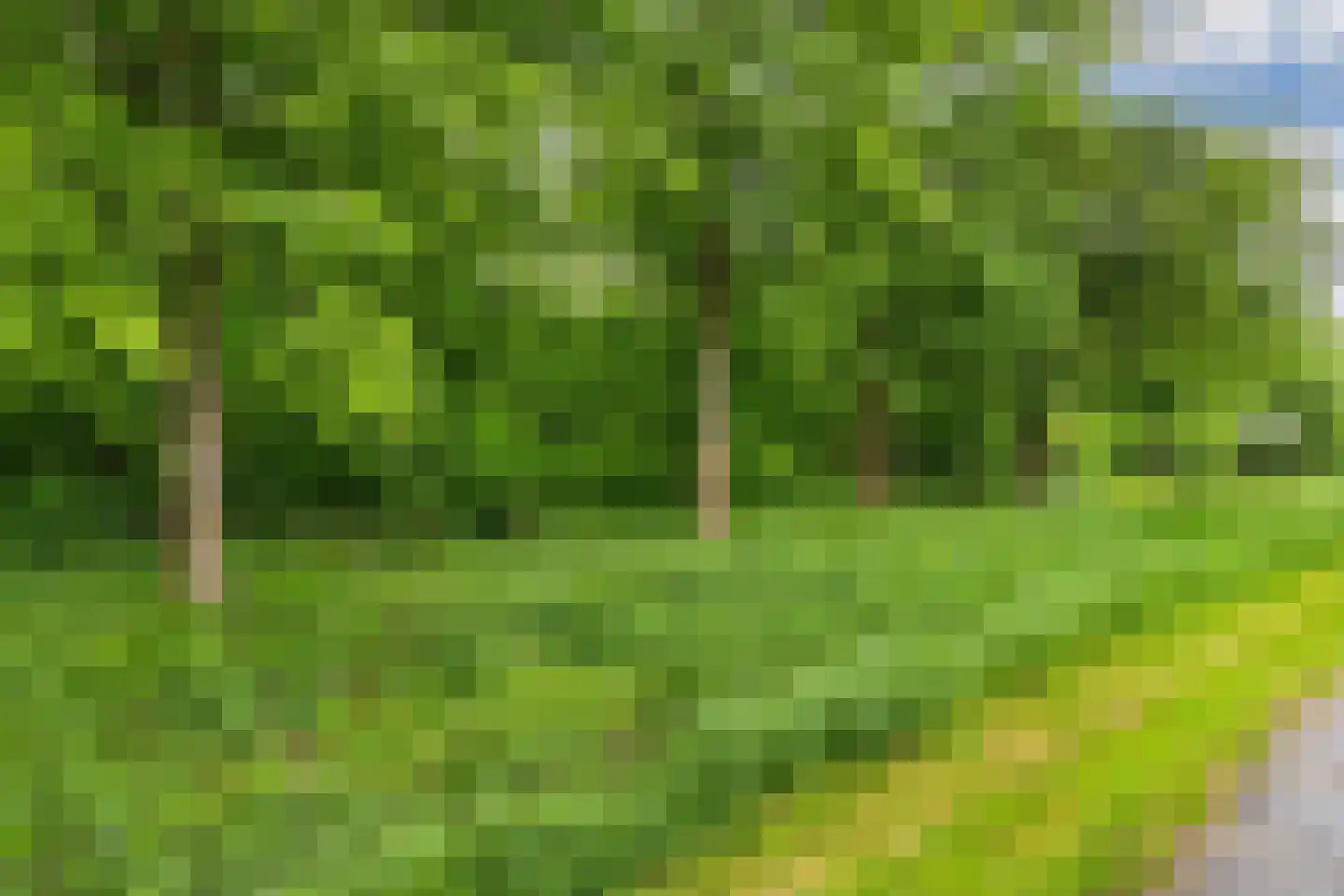Vlashof 23 Nagele thumbnail 45