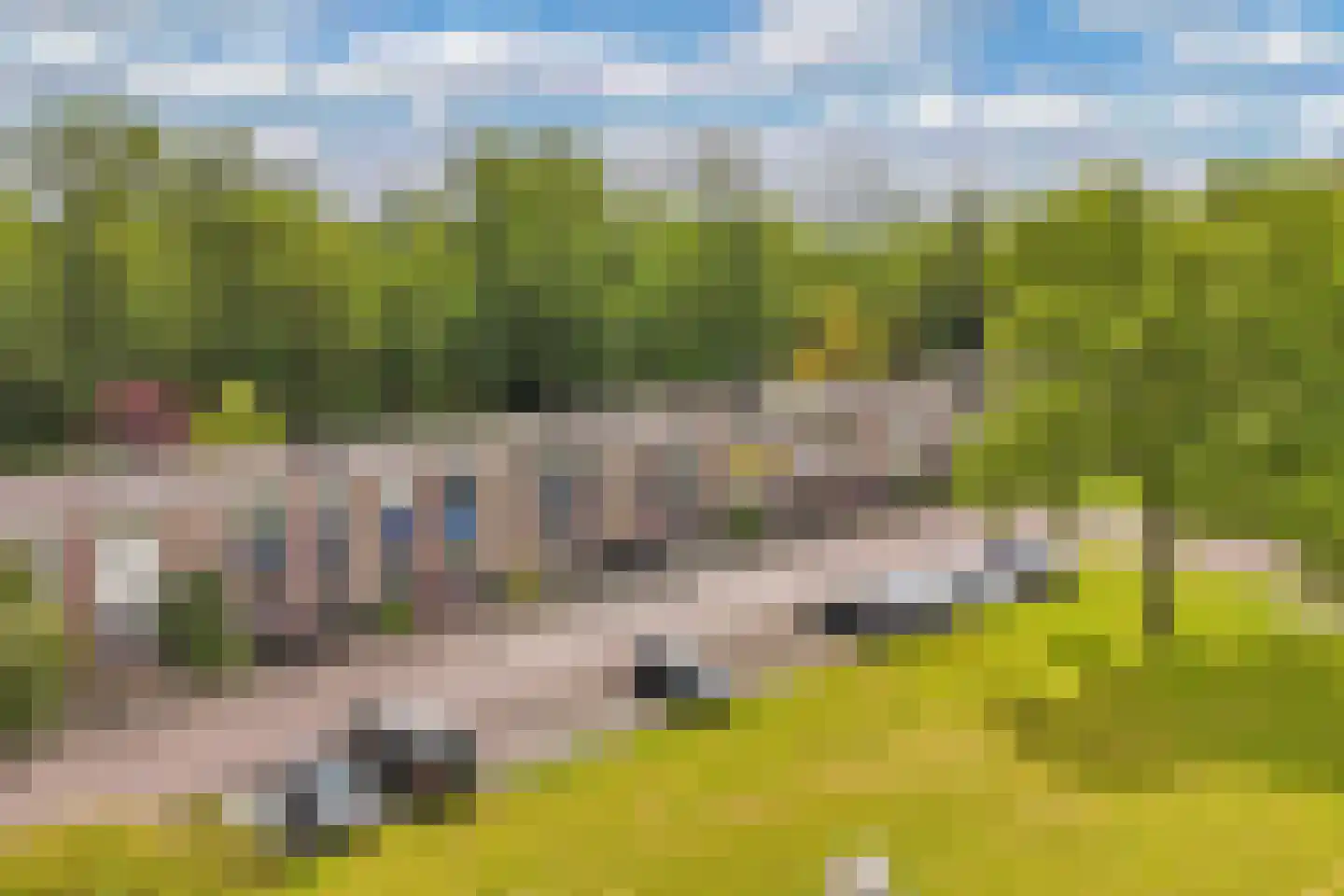Vlashof 23 Nagele thumbnail 9