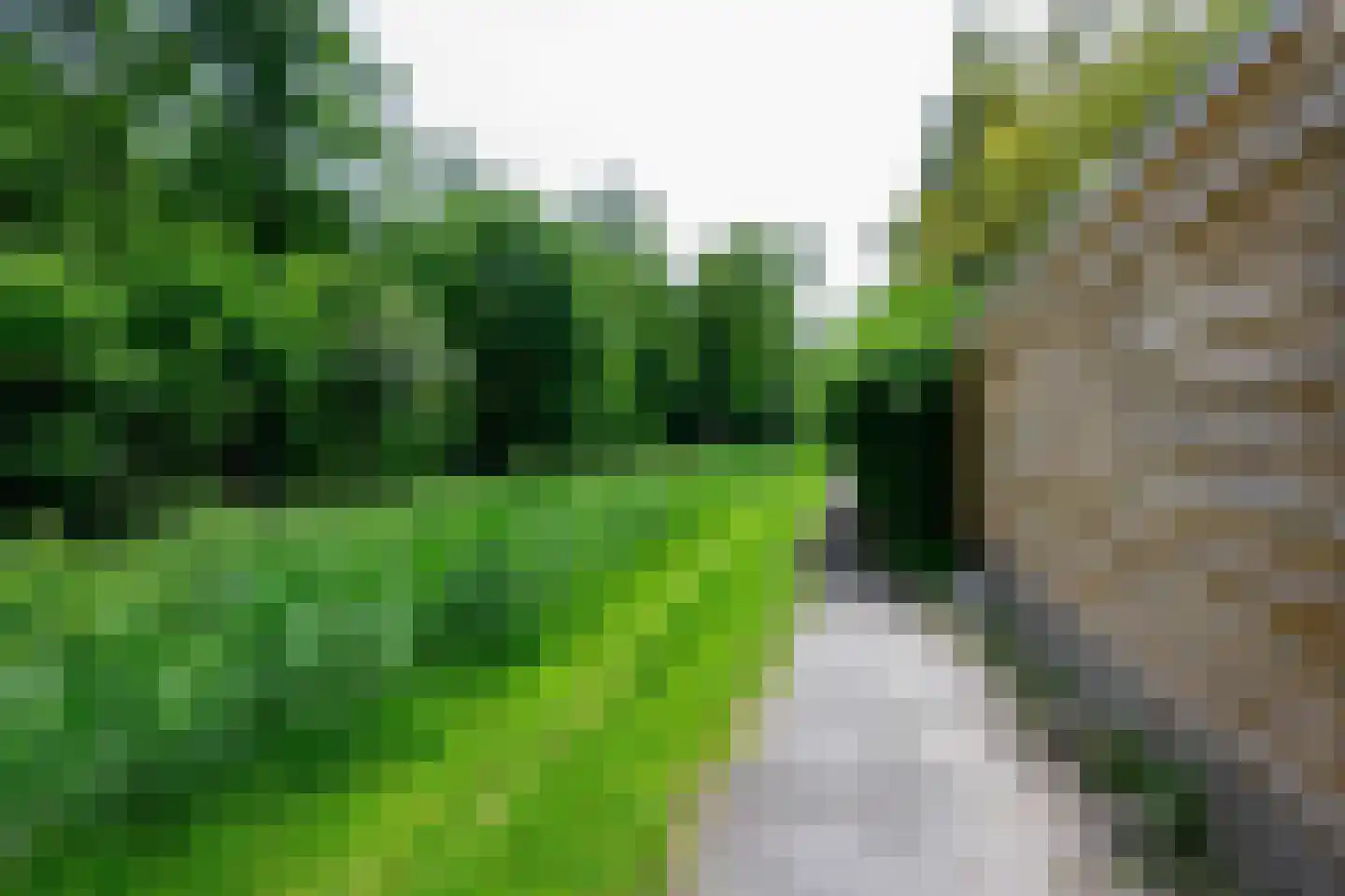Vlashof 28 Nagele thumbnail 18