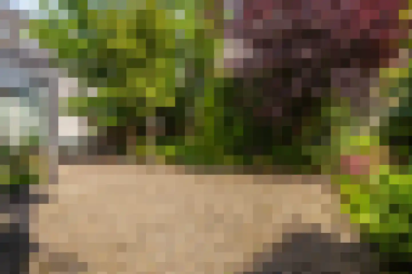 Vlashofstraat 10 Velp thumbnail 11