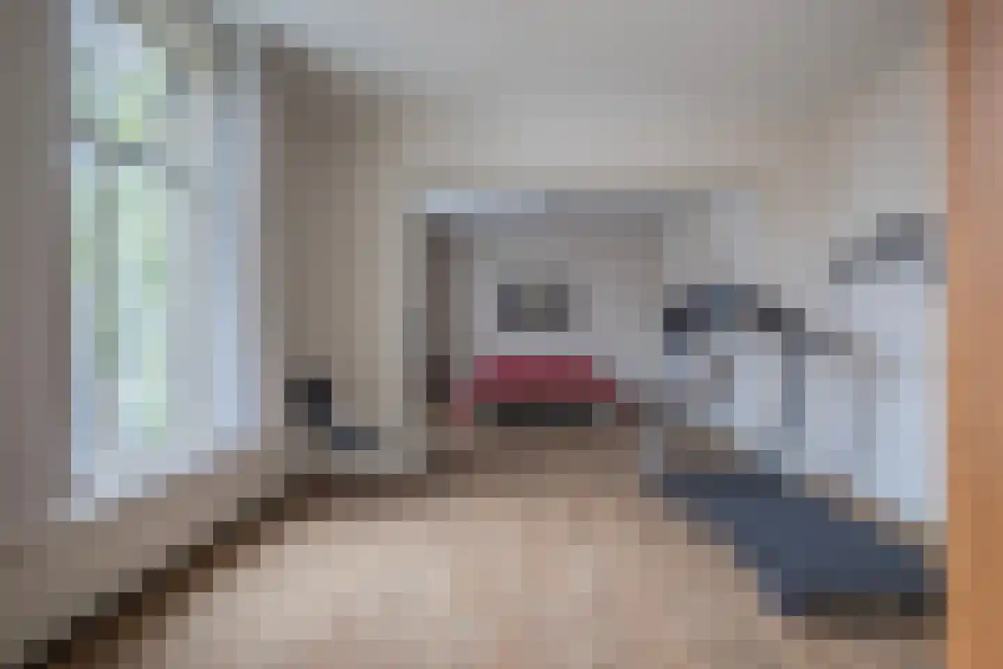 Vlashofstraat 10 Velp thumbnail 29