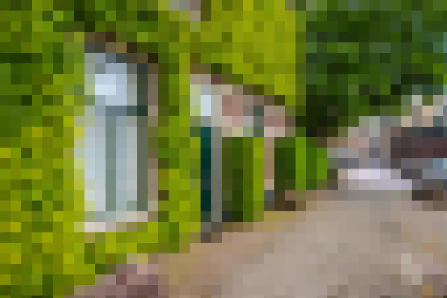 Vlashofstraat 10 Velp thumbnail 37