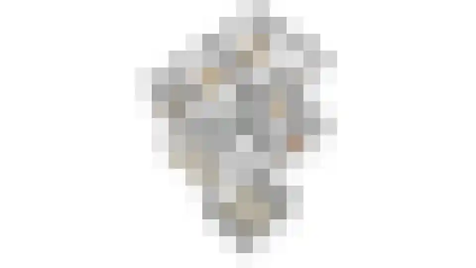 Vlashofstraat 10 Velp thumbnail 41