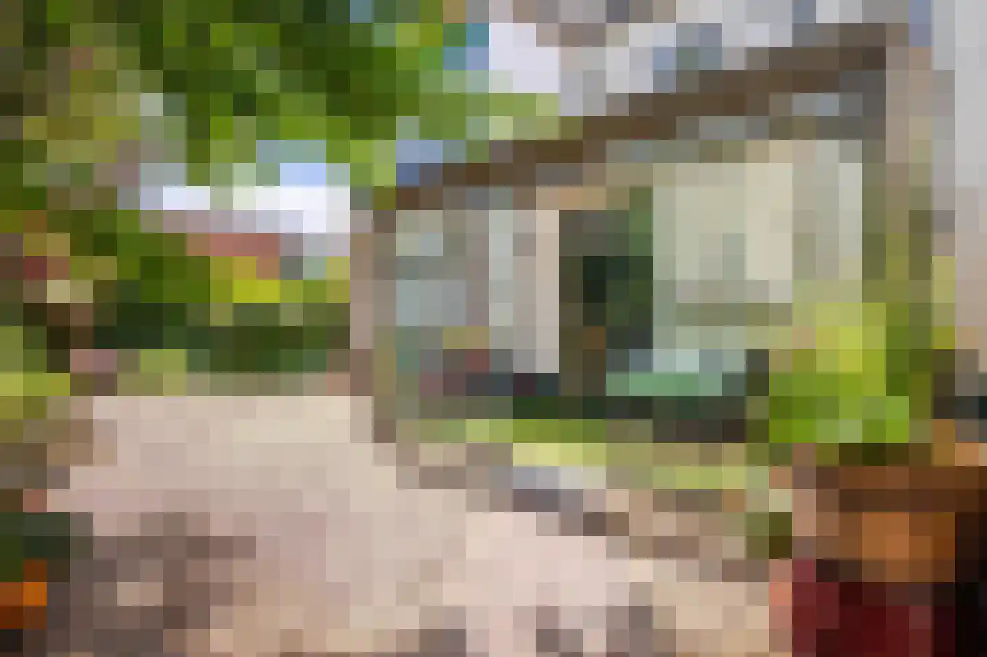 Vlashofstraat 10 Velp thumbnail 5