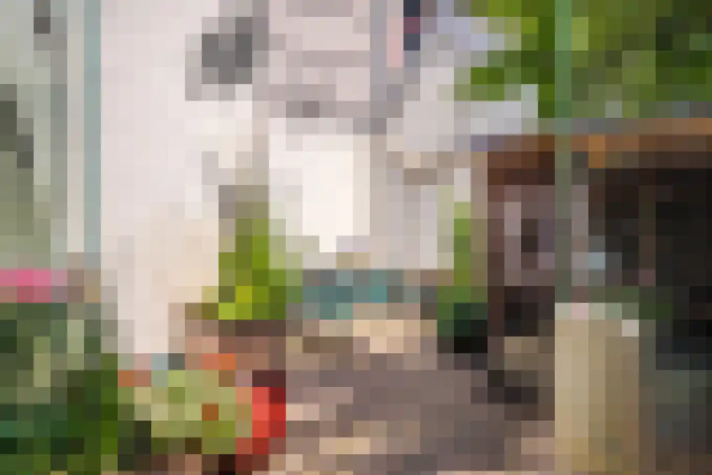 Vlashofstraat 10 Velp thumbnail 7