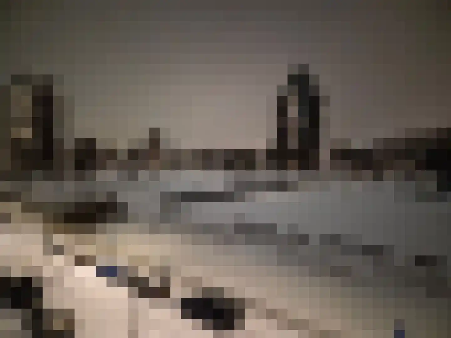 Vlaskade 120 Rotterdam thumbnail 34