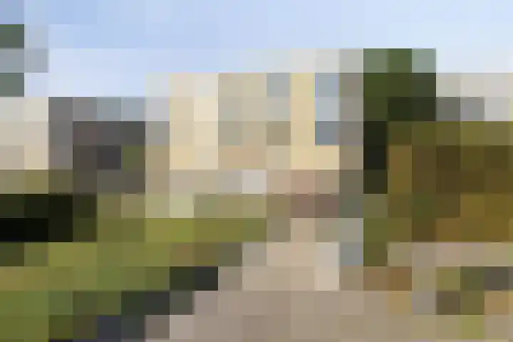 Vlaskade 148 Rotterdam thumbnail 24