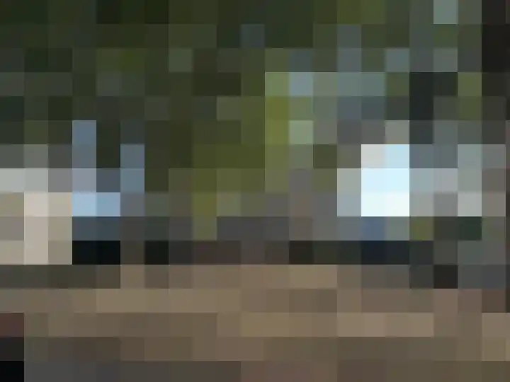 Vlaskade 148 Rotterdam thumbnail 27