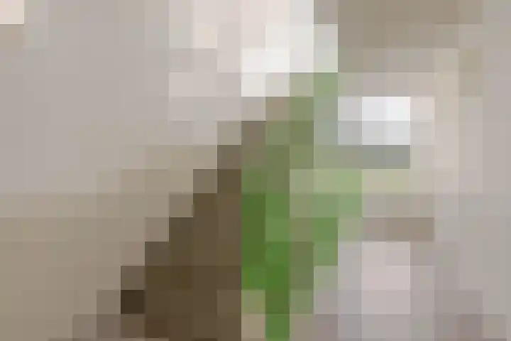 Vlaskade 158 Rotterdam thumbnail 19
