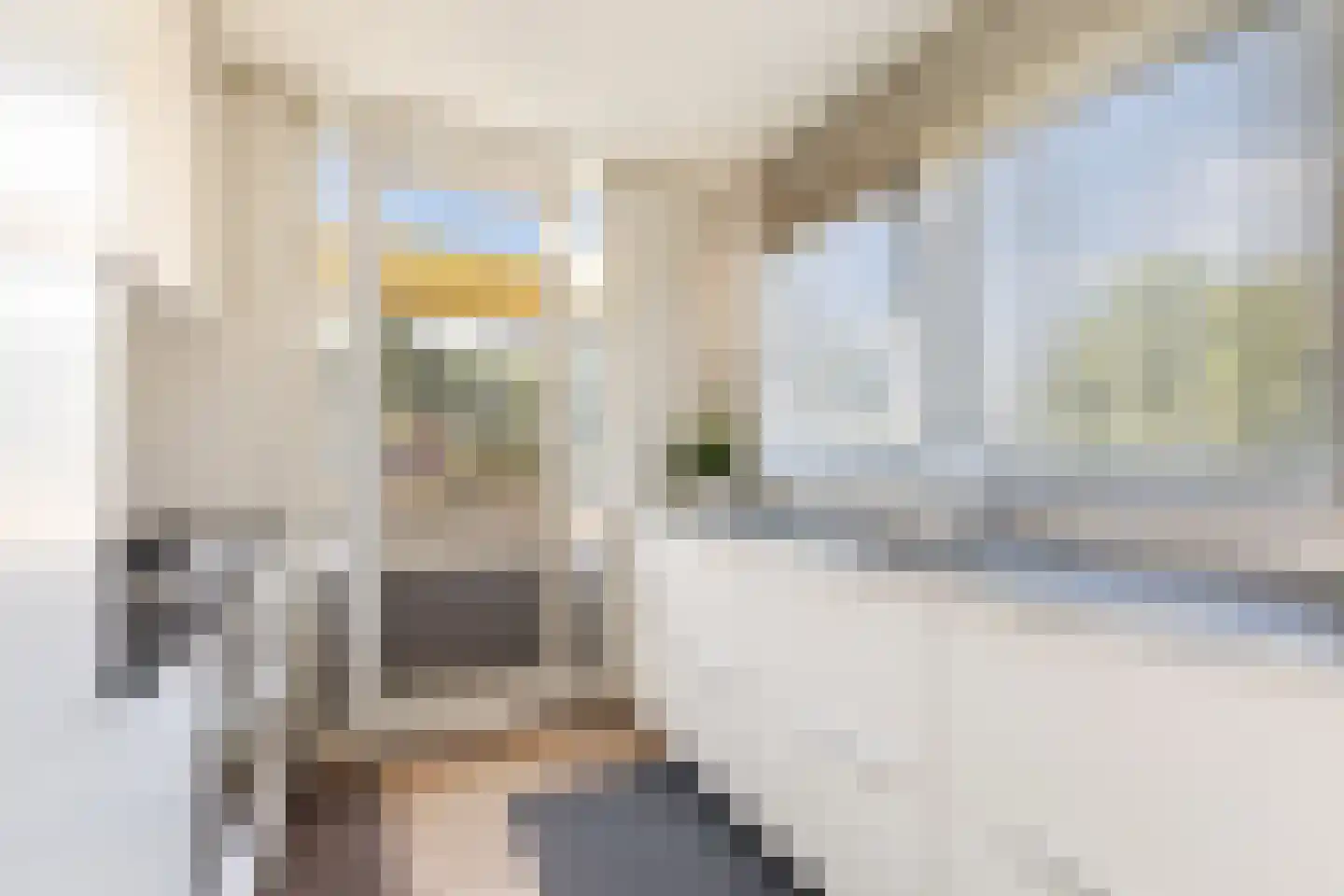 Vlaskade 56 Rotterdam thumbnail 10