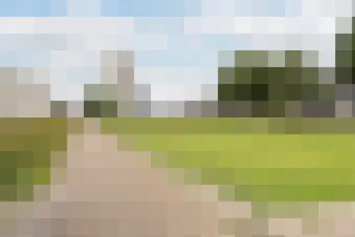Vlaskade 58 Rotterdam thumbnail 21