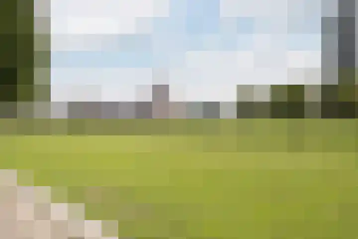 Vlaskade 58 Rotterdam thumbnail 22
