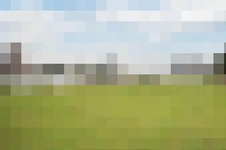 Vlaskade 58 Rotterdam thumbnail 23