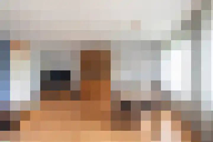 Vlaskade 58 Rotterdam thumbnail 4