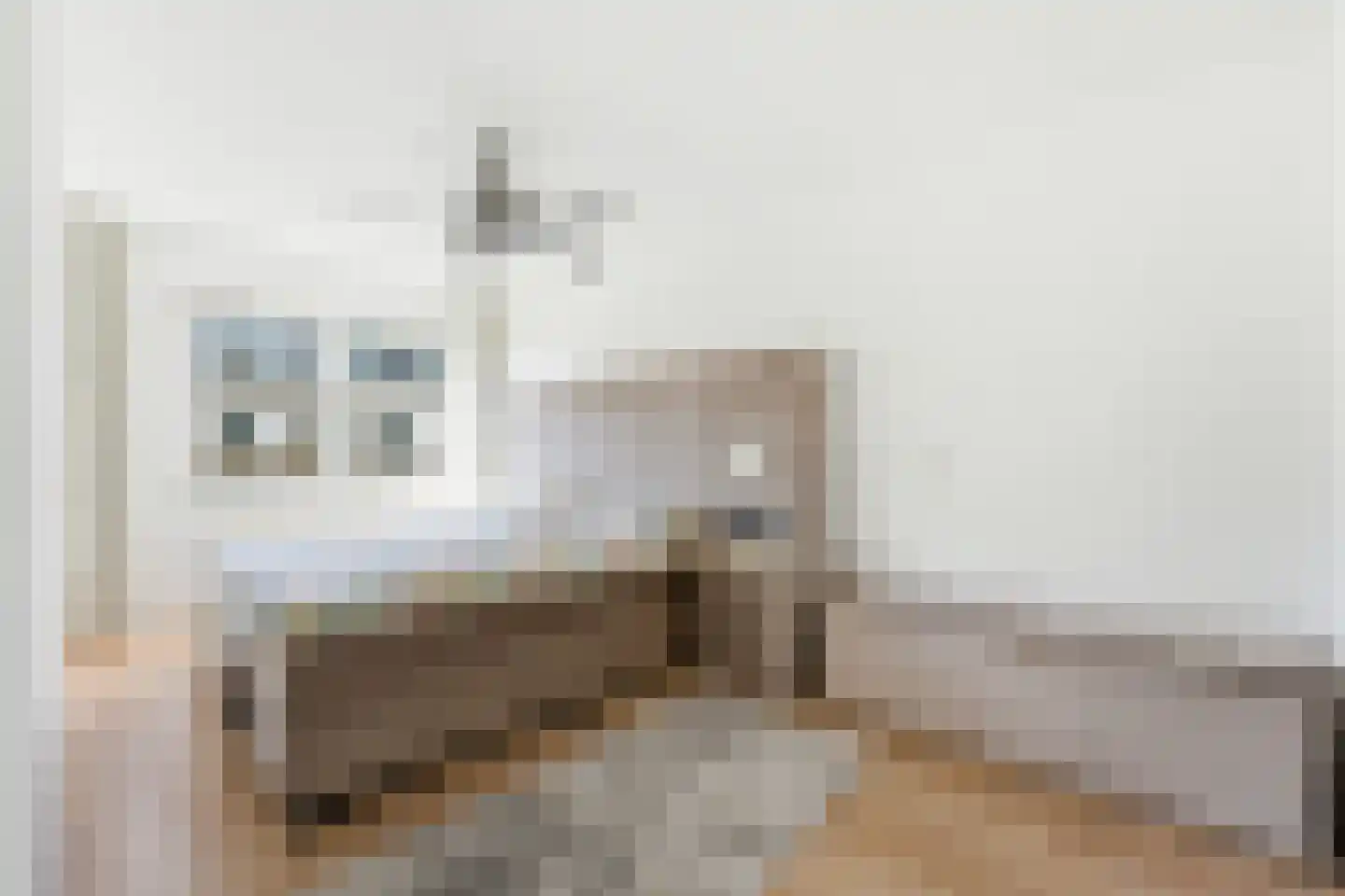 Vlaskade 76 Rotterdam thumbnail 4