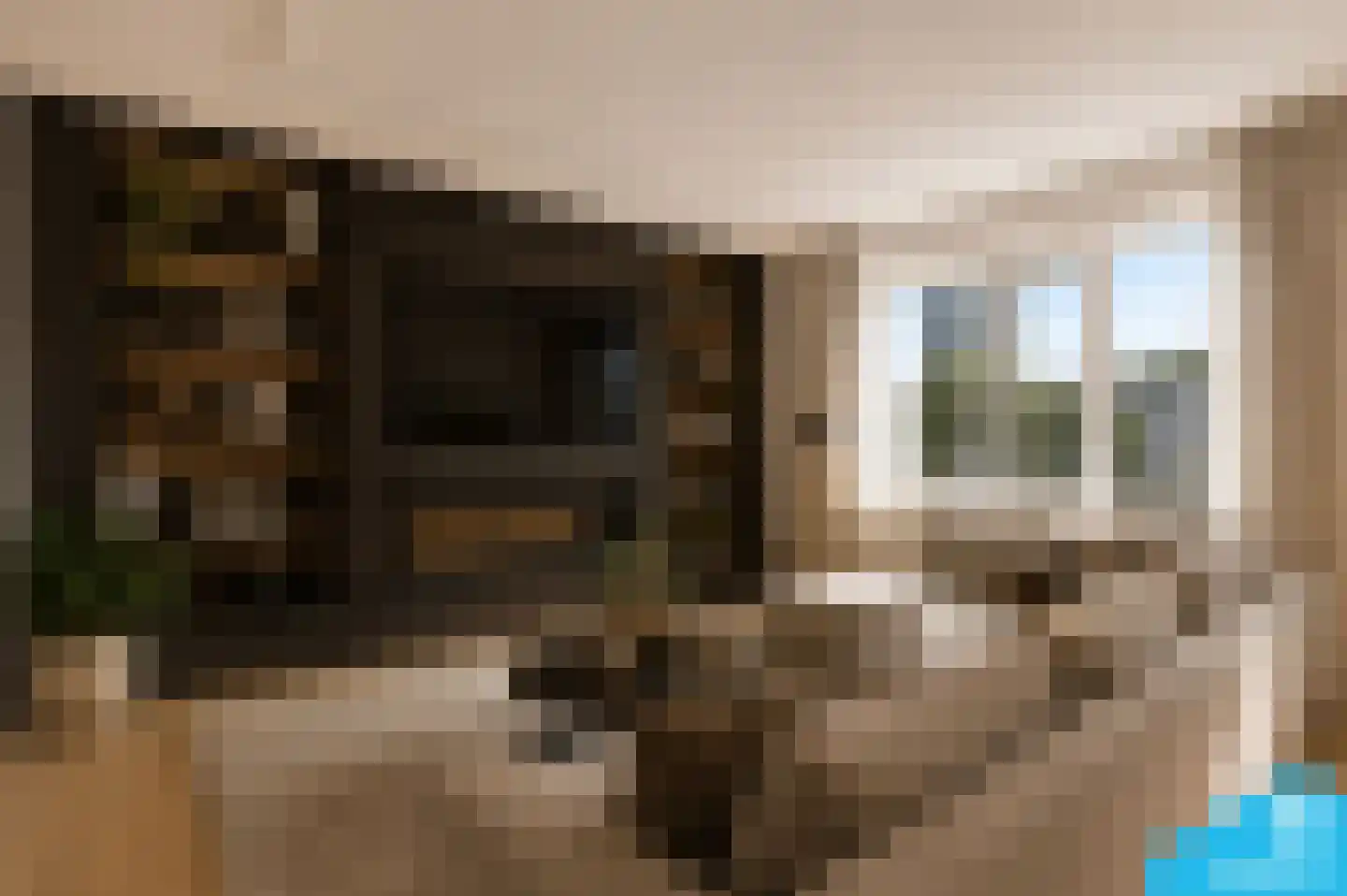 Vlaskade 76 Rotterdam thumbnail 6